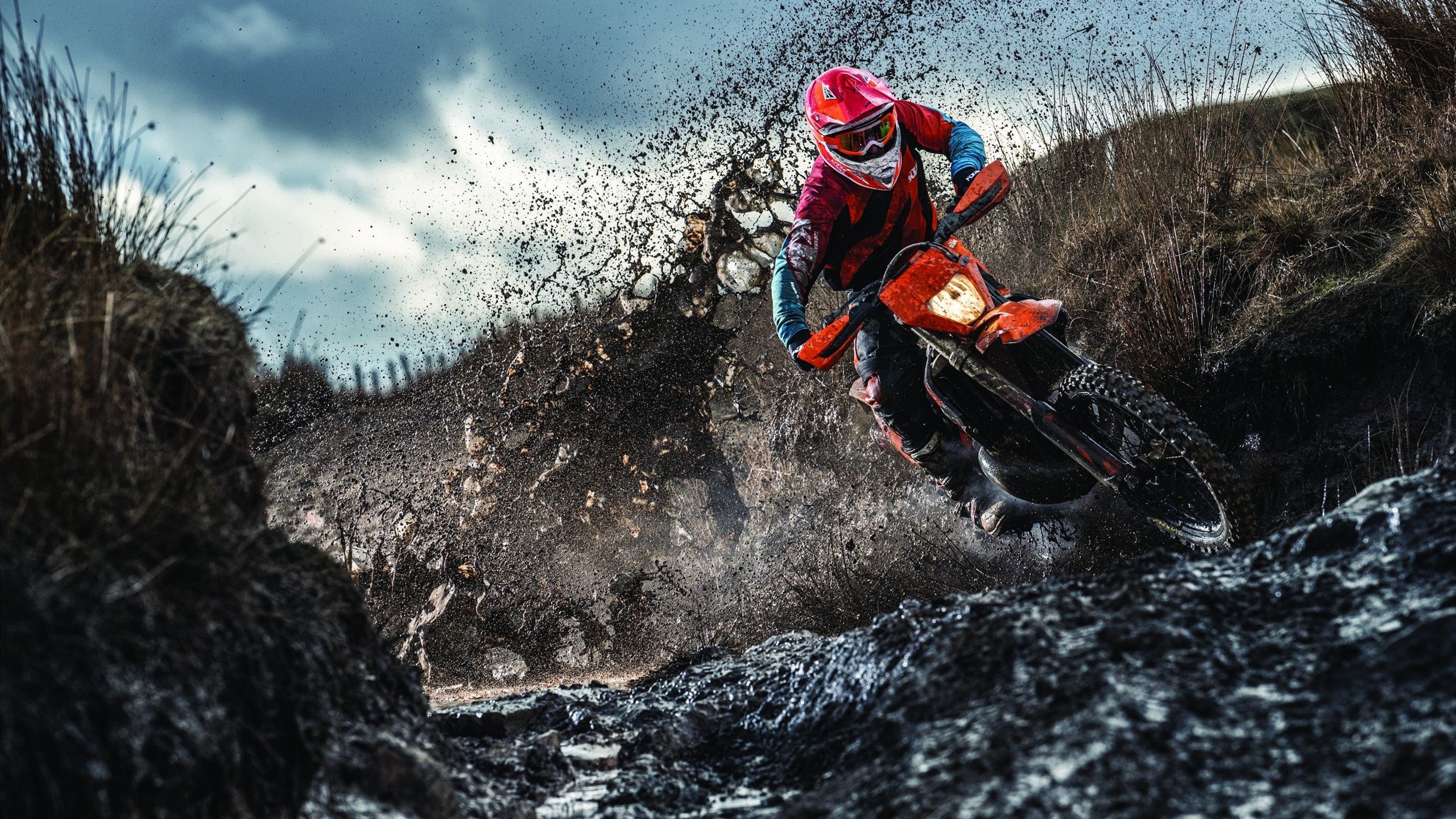 最强射手榜更新